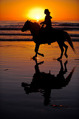 florida horseback riding