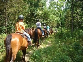 people horseback trail riding