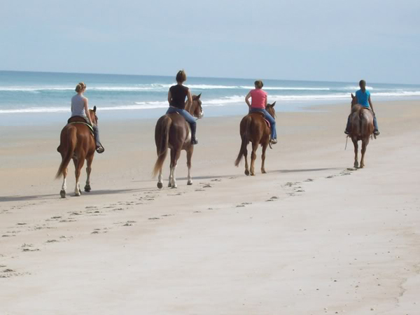 four horseback riders on the beach in Florida