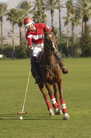 Florida polo player on horseback